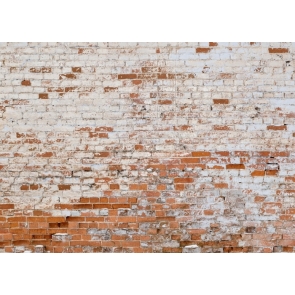 Vintage Wall Brick Backdrop Studio Photography Background