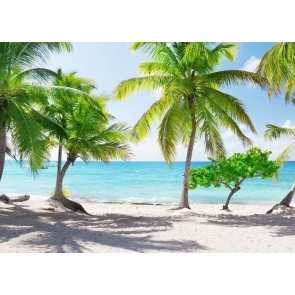 Tropical Summer Palm Tree Ocean Beach Backdrop Party Photography Background