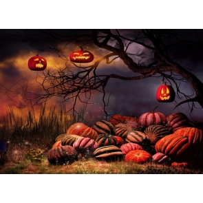 Scary Pumpkin Theme Halloween Party Backdrop Decoration Prop Background