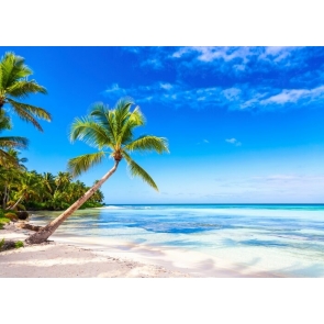 Blue sky White Clouds Ocean Beach Backdrop Party Photography Background