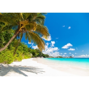 Blue sky White Clouds Palm Tree Ocean Beach Backdrop Party Photography Background