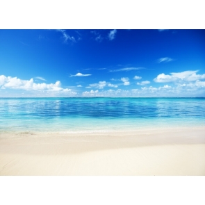 Blue Sky White Clouds Ocean Beach Backdrop Baby Birthday Bridal Shower Party Background