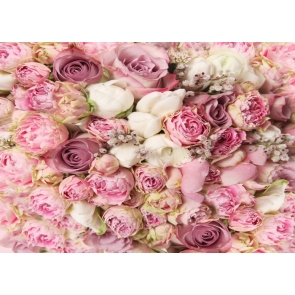 Pink Off White Bright Roses Flower Wedding Background Valentine's Day Backdrop