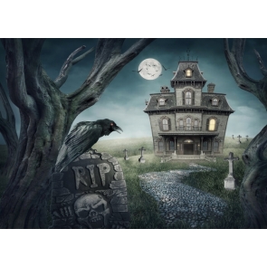 Scary Rip Cemetery Castle Halloween Backdrop Party Stage Background