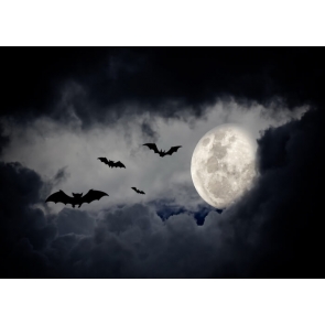 Black Cloud Moon Bat Halloween Backdrop Party Stage Background
