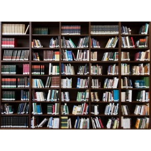 Modern Library Bookcase Bookshelf Backdrop Wallpaper Studio Photography Background