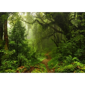 Green Plants Big Tree Jungle Forest Backdrop Stage Party Photography Background