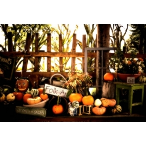 Folk Ar Pumpkin Theme Halloween Party Backdrop