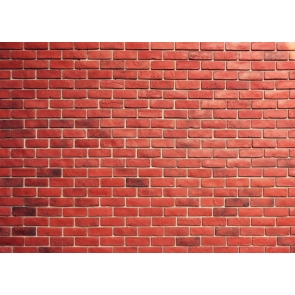Rustic Red Brick Wall Backdrop Video Studio Photography Background