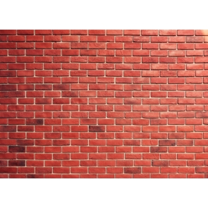 Rustic Red Brick Wall Backdrop Video Studio Photography Background