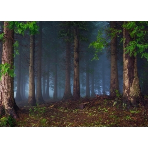 Fog Diffuse Jungle Enchanted Forest Backdrop Stage Photography Background