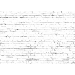 Retro White Rustic Brick Wall Backdrop Video Studio Photography Background