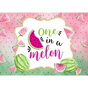 Watermelon One in a Melon 1st Happy Birthday Backdrop Photography Background Decoration Prop