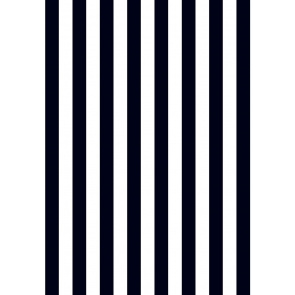 Black And White Stripe Birthday Party Backdrop Photography Background Decoration Prop