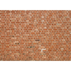 Retro Light Brown Rustic Brick Wall Backdrop Video Studio Photography Background