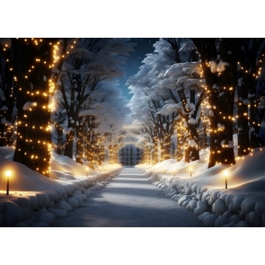 Winter Snowy Fairy Lights Christmas Studio Photography Background