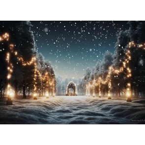Winter Snowy Fairy Lights Forest Christmas Wonderland Backdrop Studio Photography Background