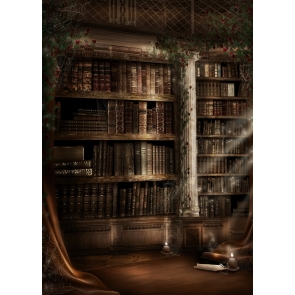 Inside Old Bookshelf Castle Halloween Backdrop Stage Party Photography Background