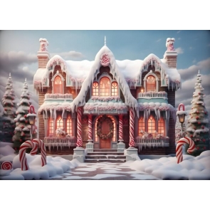 Sweet Winter Candy Christmas Snow House Backdrop Studio Photoshoot Booth Photography Background