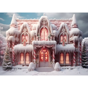 Winter Snow Pink Christmas House Backdrop Studio Photoshoot Booth Photography Background
