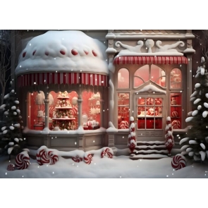 Winter Snow Christmas House Store Street Backdrop Photography Background