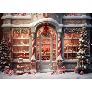 Winter Snow Christmas Store Backdrop Photography Background