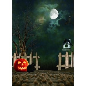 Night Sky Moon Black Cat Pumpkin Theme Halloween Background