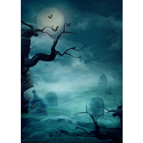 Grey sky Cemetery  Withered Tree Spider Web Halloween Backdrop