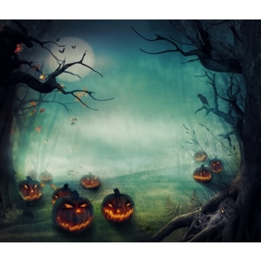 Forest Night Sky Moon Pumpkin Party Photography Halloween Vinyl Backdrops