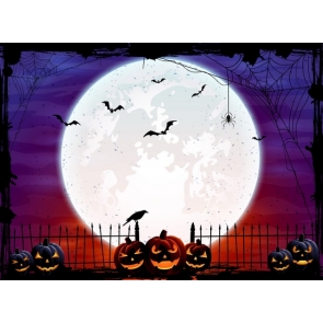 Spider Web Big Moon Pumpkin Background Halloween Backdrop