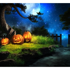 Pumpkin Themed Halloween Backdrops Photography Props