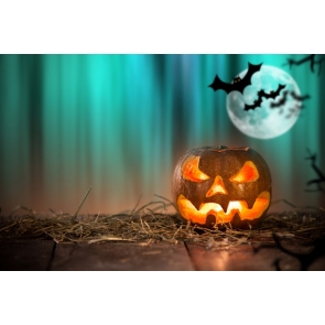 Halloween Pumpkin Lantern Bats Blue Light Backdrop Background for Photography