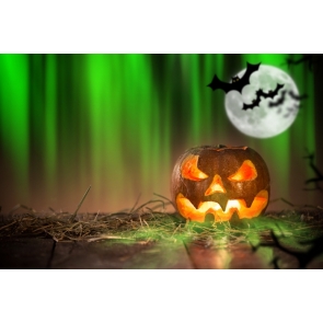 Pumpkin Lantern on Straw Bats Green Light Halloween Party Photo Wall Backdrop