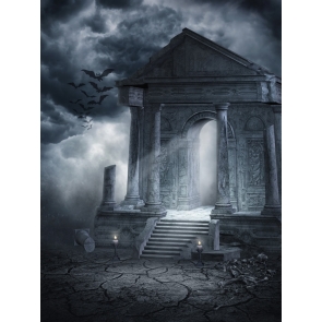 Horrible Scary Black And White Night Sky Halloween Party Backdrop