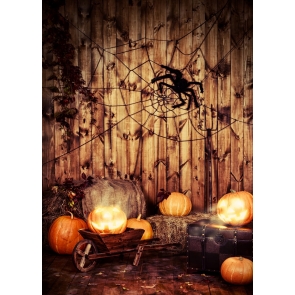 Spider Web Wood Wall Halloween Backdrop Pumpkin Background Halloween Party Decorations Props