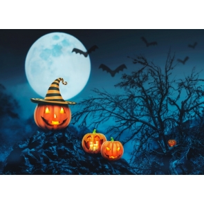 Pumpkin Theme Cute Halloween Backdrop Halloween Party Background Decorations Props