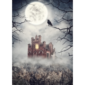 Spooky White Night Sky Castle Halloween Background Party Backdrop Props Decorations