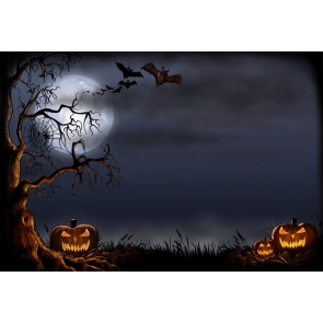 Black Night Sky With Dead Tree Spider Web Scary Pumpkin Halloween Party Backdrop