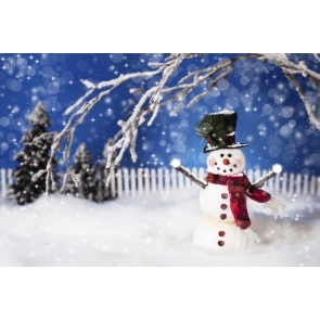 Winter White Snowman Chirstmas Party Outdoor Camera Backdrops