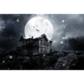 House Under Black Night Sky Moon Outdoor Halloween Backdrop