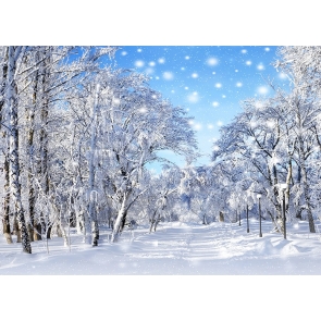 Snow Covered Forest White Christmas Backdrop For Stage Background