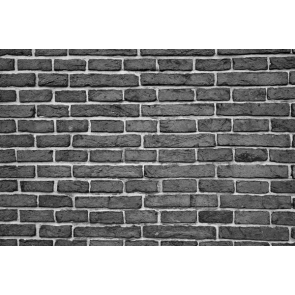 Vinyl Interior Wall Background Grey Wall Background Tapestry