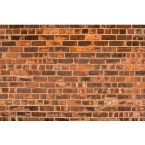 Attractive Retro Vintage Brownish Wall Background Vinyl Brick Backdrops