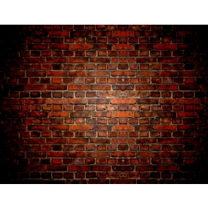 Stylish Retro Simple Vinyl Red Wall Background Brick Backdrops