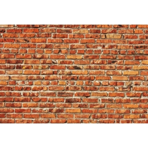 Attractive Retro Vintage Yellow Vinyl Brick Backdrops Interior Wall Background