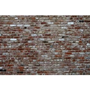 White Lime Covered Personalise Retro Brick Wall Background