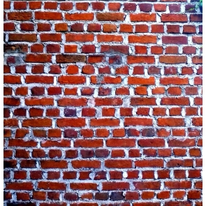 White Lime Red Brick Background Photography Vinyl Brick Backdrops