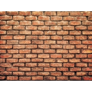 Retro Vintage Old Vinyl Brick Wall Background Photography Wall Backdrops