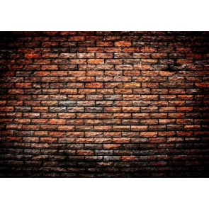 Stylish Vinyl Photography Wall Backdrops Stripe Brick Wall Background 