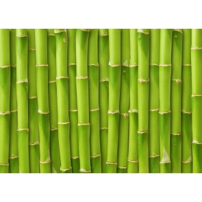 Green Bamboo Backdrop Wedding Party Background